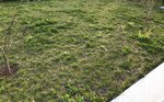 Garten1.jpeg
