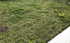 Garten1.webp