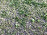 Garten5.webp