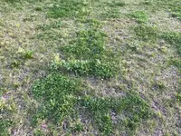 Garten6.webp