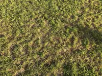 Garten1.webp
