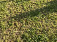 Garten2.webp
