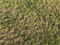 Garten3.webp