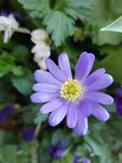 20200404_180529.jpg