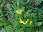 20200404_180819.jpg