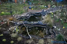 comp_DSC08799.webp