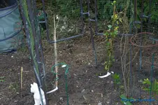comp_DSC08800.webp