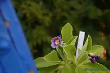 comp_DSC08801.webp