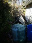 IMG_20200404_170131.jpg