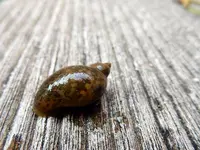 DSCN1738.webp