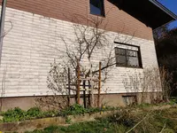 IMG_20200405_170552.webp