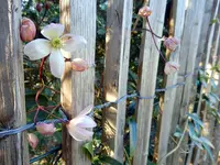 DSCN1760.JPG