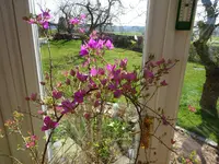 DSC00888.JPG