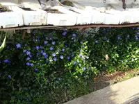 DSC00900.JPG