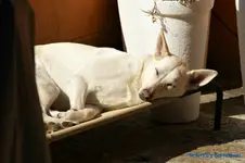 comp_DSC08805.webp
