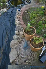 comp_DSC08808.webp
