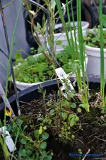 comp_DSC08807.webp