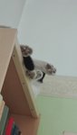 IMG_20200405_102259.jpg
