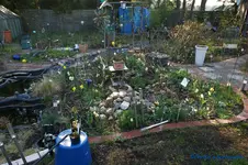 comp_DSC08811.webp