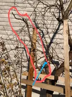 IMG_20200406_174158~2.webp