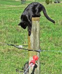 IMG_3617 - Copy.JPG