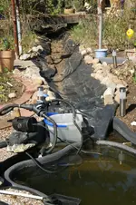 DSC08814.JPG