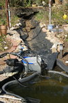 DSC08814.JPG