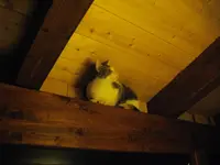IMGP8811.webp