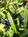 20200405_153935.jpg