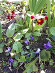 20200404_100249.jpg