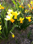 20200404_100358.jpg