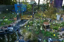 comp_DSC08816.webp