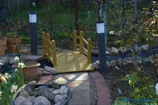 comp_DSC08817.webp