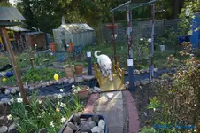 comp_DSC08819.webp