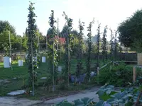 DSC00507.jpg