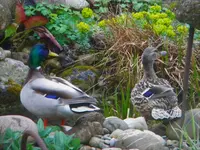 DSCN7318.webp