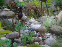 DSCN7323.webp