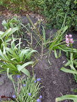 20200409_142323.jpg