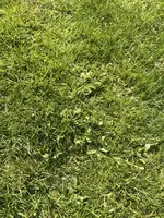 IMG_5298.webp