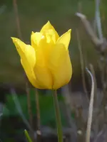 6DEF7B5B-A097-4CC3-9B79-070696D335E9.webp