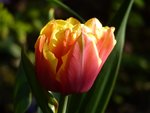 8C3E35FA-F268-4ABC-832D-6CD93DCD746F.jpeg