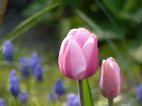 FB974C55-CEA3-4D5B-AF89-E7CCB0469F84.webp