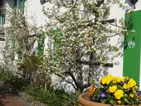 DSC00904.webp