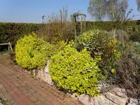 DSC00908.webp