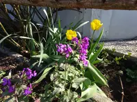 DSC00909.webp