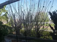 2020-04-10 11.22.49.webp