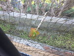 2020-04-10 11.24.07.jpg