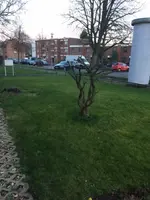 IMG_2558.webp IMG_2558.webp