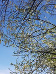 20200410_134648.jpg