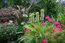 Terasse0415.webp